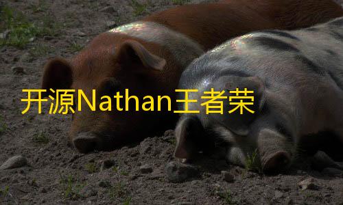 第五人格辅助软件开源Nathan王者荣耀个性语音包查询源码